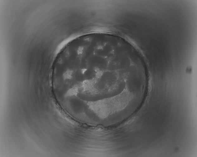 X0000113081222200909110956