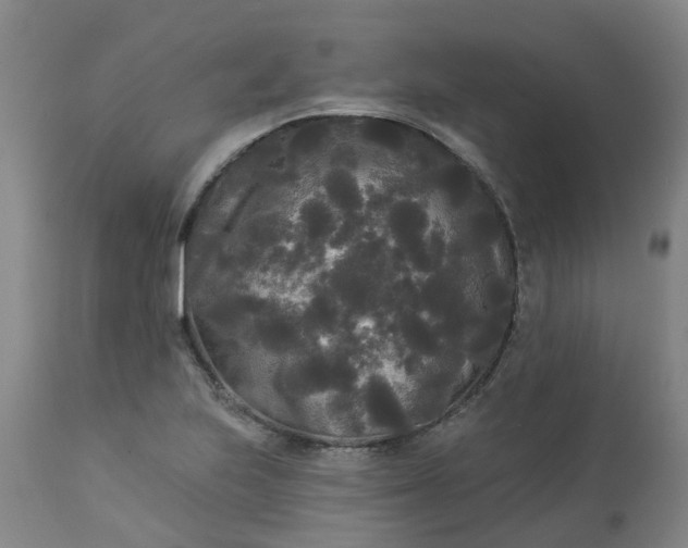 X0000113081223200909110956