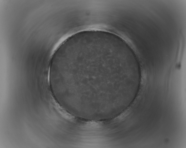 X0000113081224200909110956