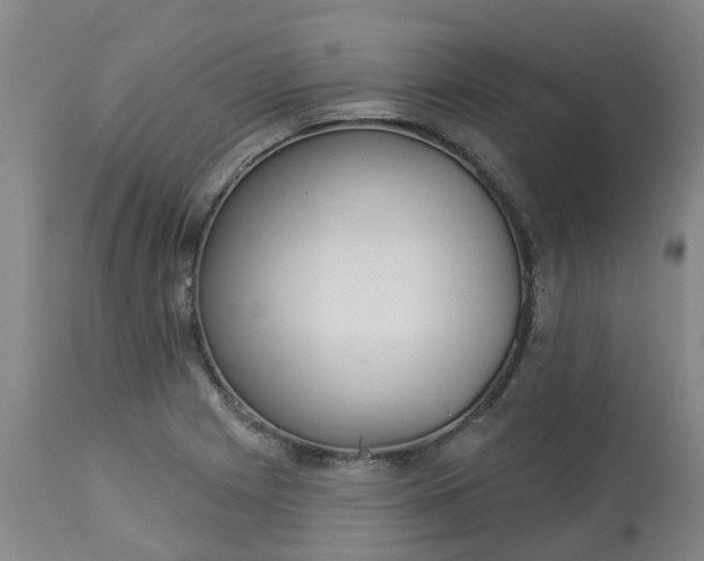 X0000113081225200909110956