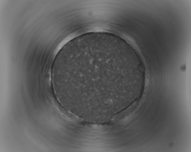 X0000113081226200909110956