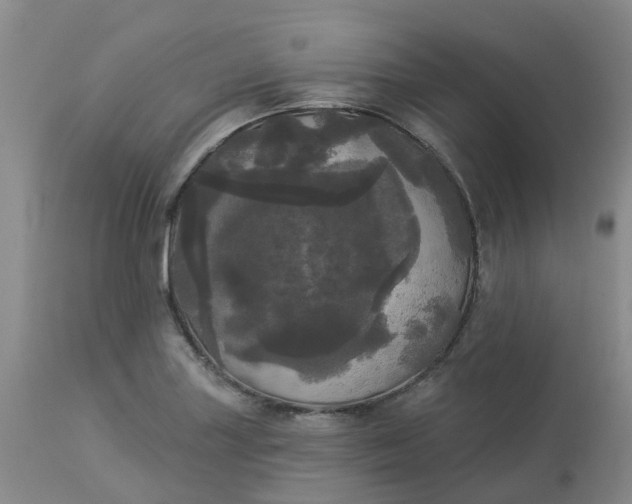 X0000113081227200909110956