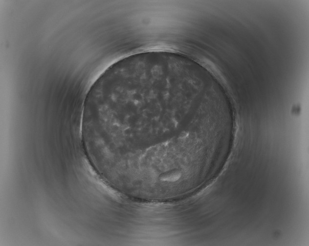 X0000113081228200909110956