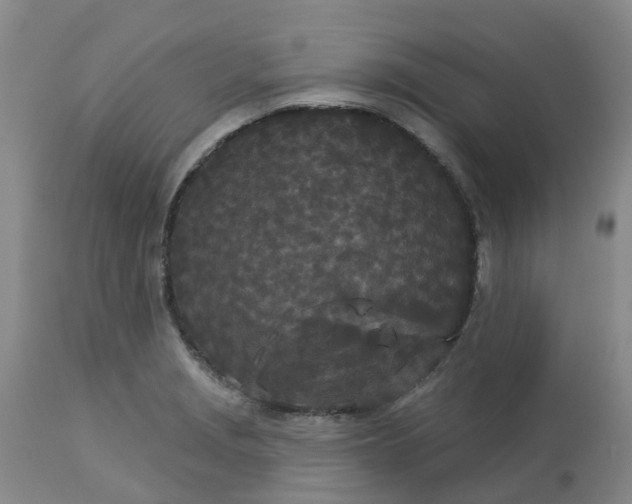 X0000113081229200909110956