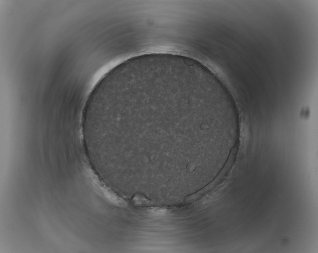 X0000113081230200909110956