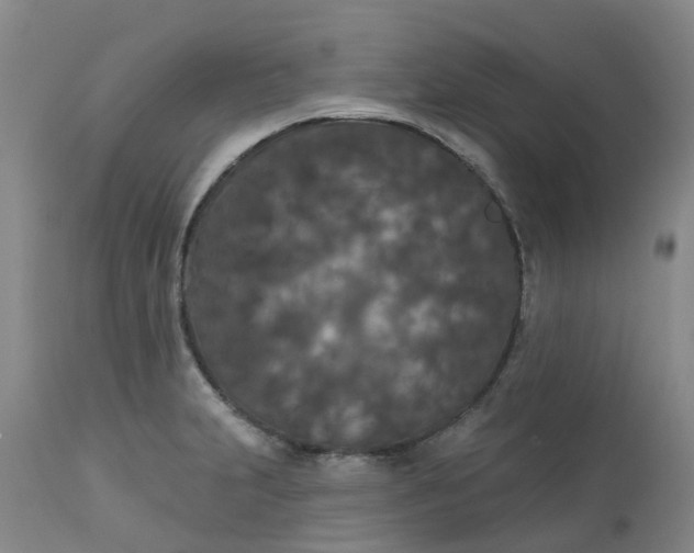 X0000113081231200909110956