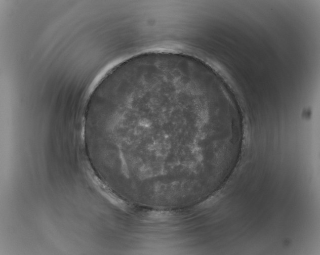 X0000113081232200909110956