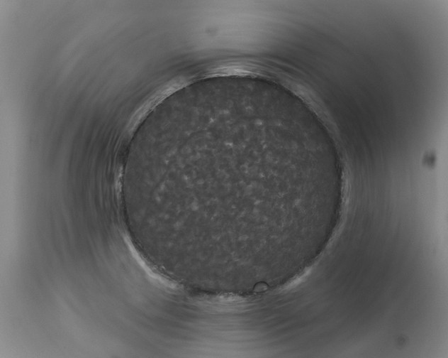 X0000113081233200909110956