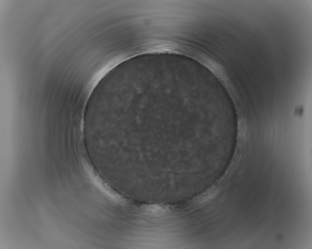 X0000113081234200909110956