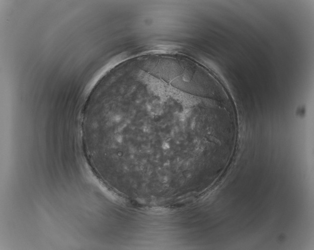 X0000113081235200909110956