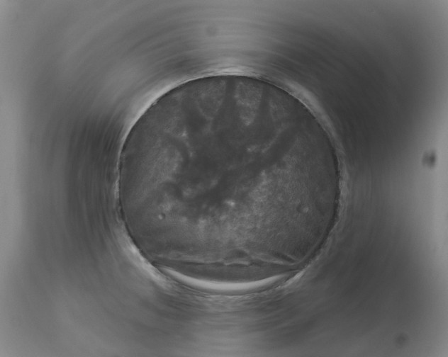 X0000113081236200909110956