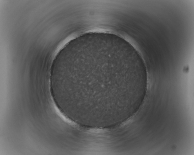 X0000113081237200909110956