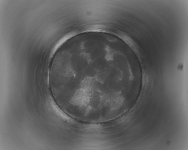 X0000113081238200909110956