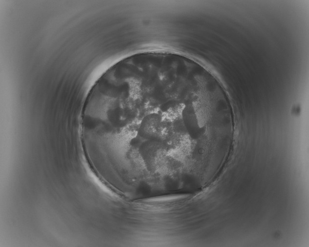 X0000113081239200909110956