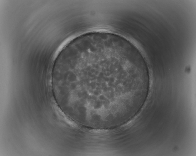 X0000113081240200909110956