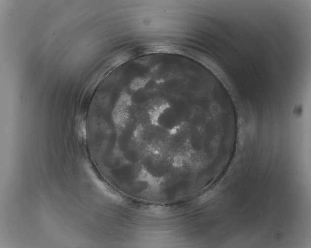 X0000113081241200909110956