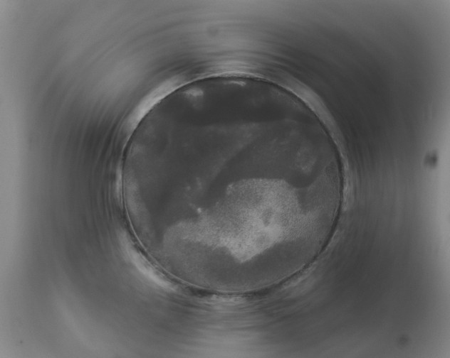 X0000113081242200909110956