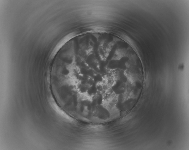 X0000113081243200909110956