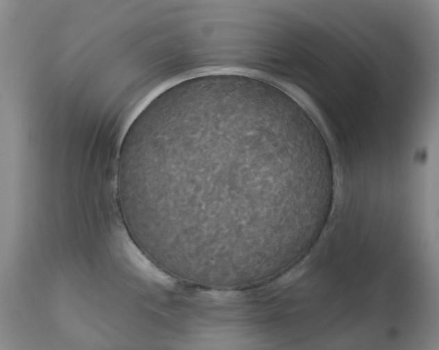 X0000113081244200909110956