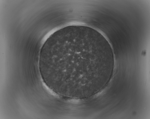 X0000113081245200909110956