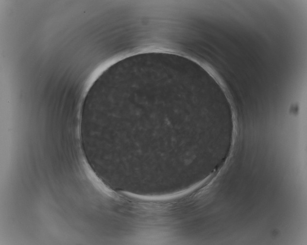 X0000113081246200909110956