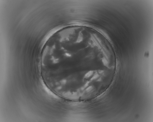 X0000113081247200909110956