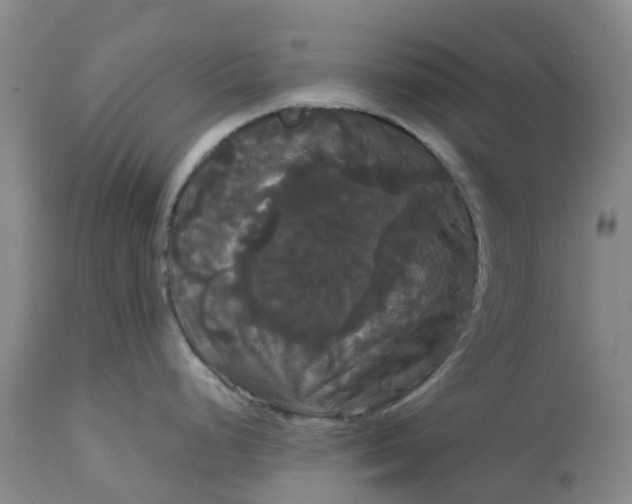 X0000113081248200909110956