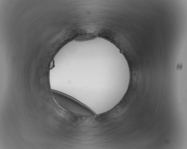 X0000113081249200909110955