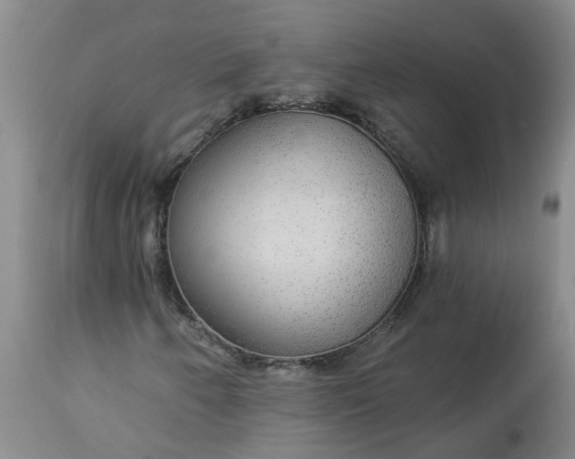 X0000113081250200909110955