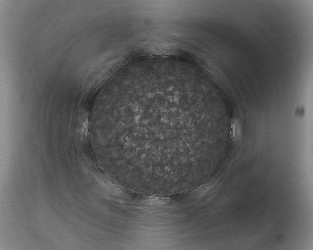 X0000113081251200909110955