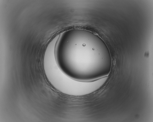 X0000113081252200909110955