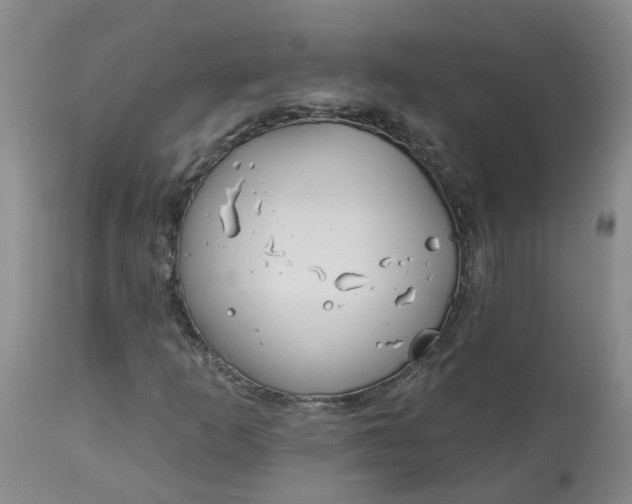 X0000113081253200909110955