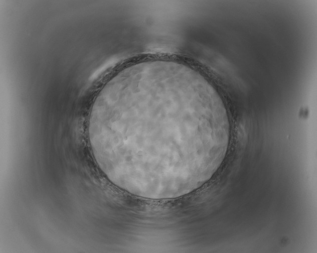 X0000113081254200909110955