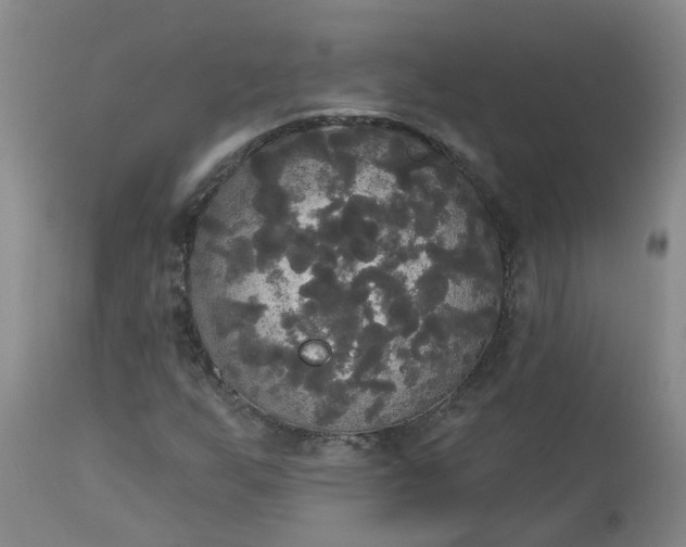 X0000113081255200909110955