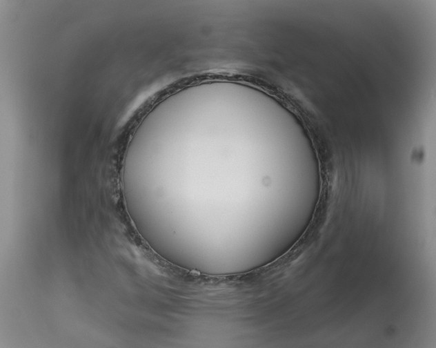 X0000113081256200909110955