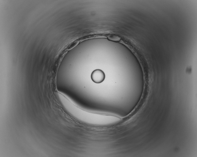 X0000113081257200909110955