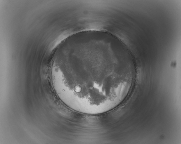 X0000113081258200909110955