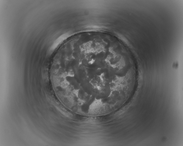 X0000113081259200909110955