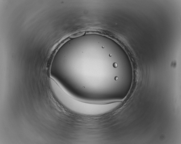 X0000113081260200909110955