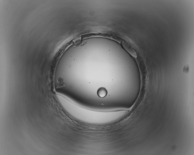 X0000113081261200909110955