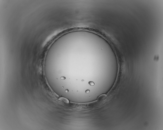 X0000113081262200909110955