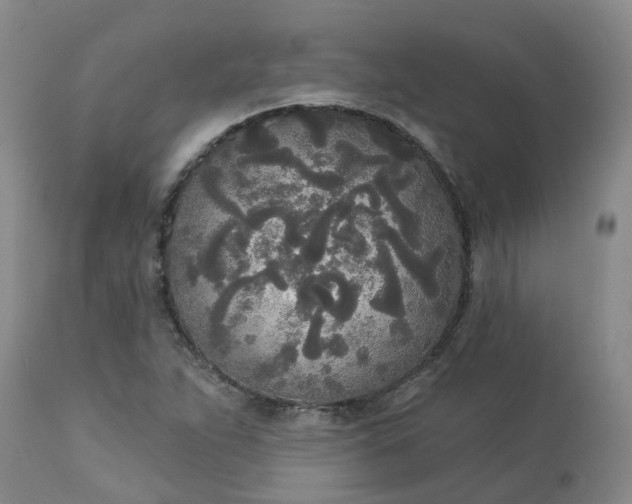 X0000113081263200909110955