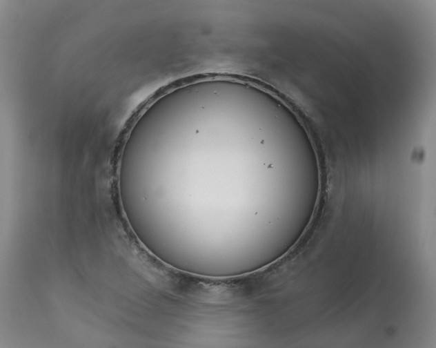 X0000113081264200909110955