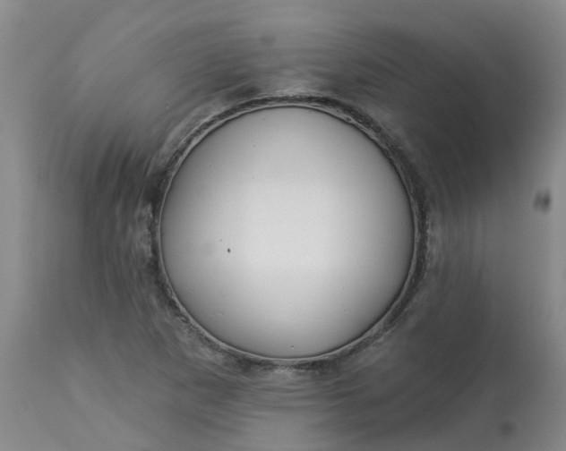 X0000113081265200909110955