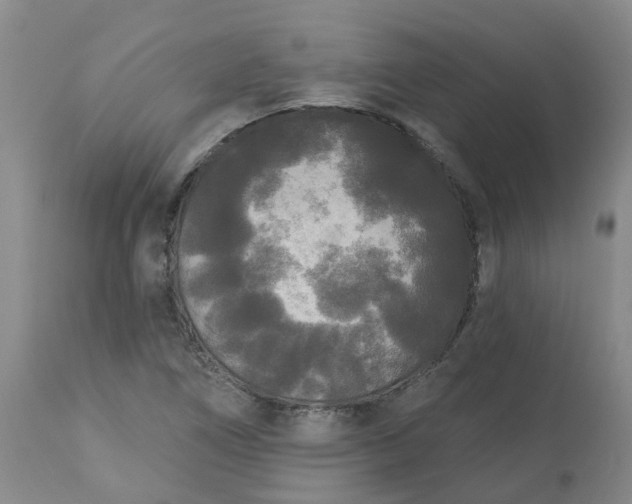 X0000113081266200909110955