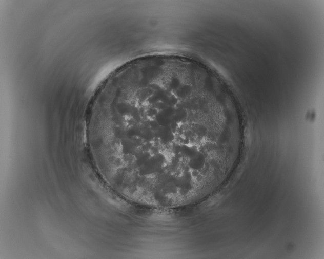 X0000113081267200909110955