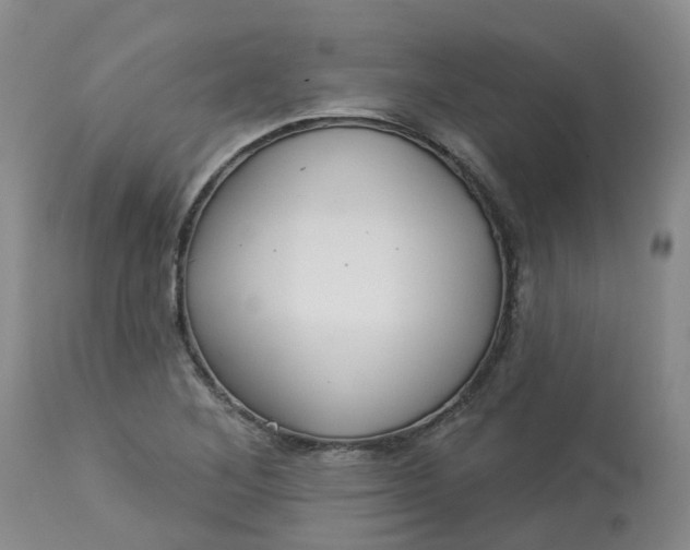 X0000113081268200909110955