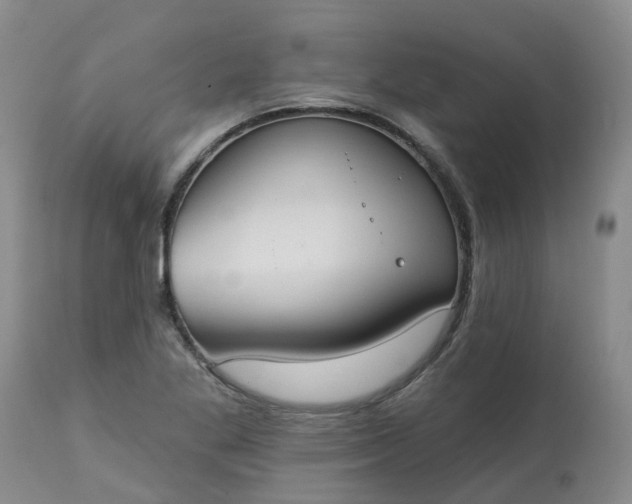 X0000113081269200909110955