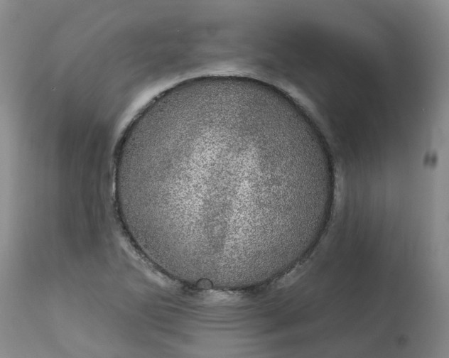 X0000113081270200909110955