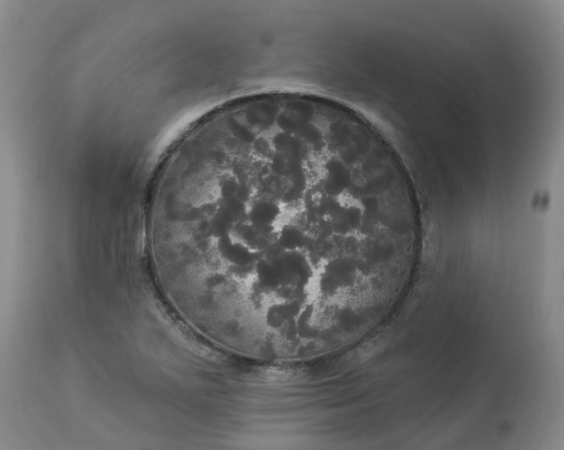 X0000113081271200909110955